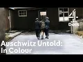 Download Lagu What Happened Right Before Jewish Concentration Camps Were Liberated? | Auschwitz Untold: In Colour