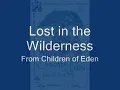 Lost in the Wilderness from Children of Eden