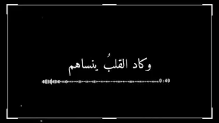 ألا يا قلب لا تحزن على صحب فقدناهم جواد 