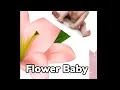 Download Lagu Flower Baby | trailer | ^ safire ^