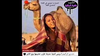 خشيمة برق الناير 