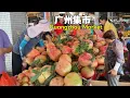 Download Lagu 广州传统集市！水果新鲜且便宜，衣服低价疯抢，零食小吃种类齐全，各种药材一应俱全！还有猫狗乌龟小鸟金鱼等宠物售卖！蔬菜鲜嫩实惠！各类生活用品应有尽有，一站式满足您的购物需求，真是一个十分有烟火气的菜市场