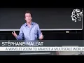 Stephane Mallat A Wavelet Zoom to Analyze a Multiscale World