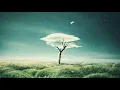 BADBADNOTGOOD X Little Dragon - Tried