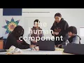BBC s The Human Component Code org