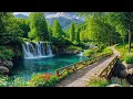 Download Lagu Music heals the heart \u0026 blood vessels🌿Calming music restore nervous system, reduce anxiety, relax