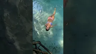 Beautiful remote pool in the rain forest do the Dominican Republic