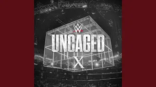 return the hitman excellence of execution bret hart 