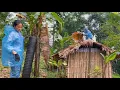 Download Lagu No one would believe a homeless girl would do this for two bunnies!_Lý Tiểu Yên