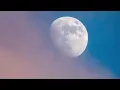 Man on the Moon - Zella Day (ON SCREEN LYRICS)