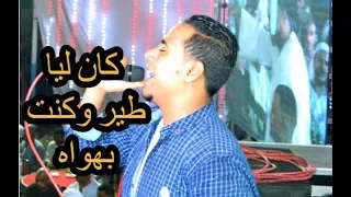 كان ليا طير وكنت بهواه محمد الاسمر افراح 2020 