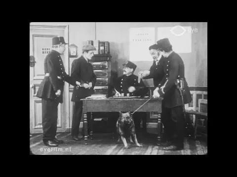 Le chien voleur