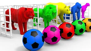 Baby Boss Dance Monkey Cute Little Kids Video Learn Color Lion Fountain Crossing Challenge 