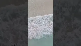 #flamenco #beach #culebra #travelvlog