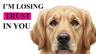 6 Silent Mistakes That Make Your Dog Stop Trusting You (Most Owners Ignore This)