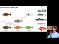 SBMM THE FUTURE OF SEAFOOD UNDER CLIMATE CHANGE 20