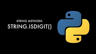 Python String Methods isdigit User Inputs
