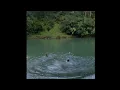 Billie Eilish swimming