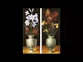 Mozart: Oboe Quartet KV 370. De Bruine, Baudet, Morita, Brüggen