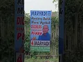 Download Lagu MARYADI - marilah seluruh wedus berkaki sikil nglempiti klambine maryadi