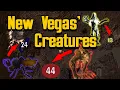 Where are Fallout New Vegas Creatures