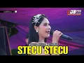 Download Lagu STECU STECU - EDB PRO feat NOVIA ROZMA