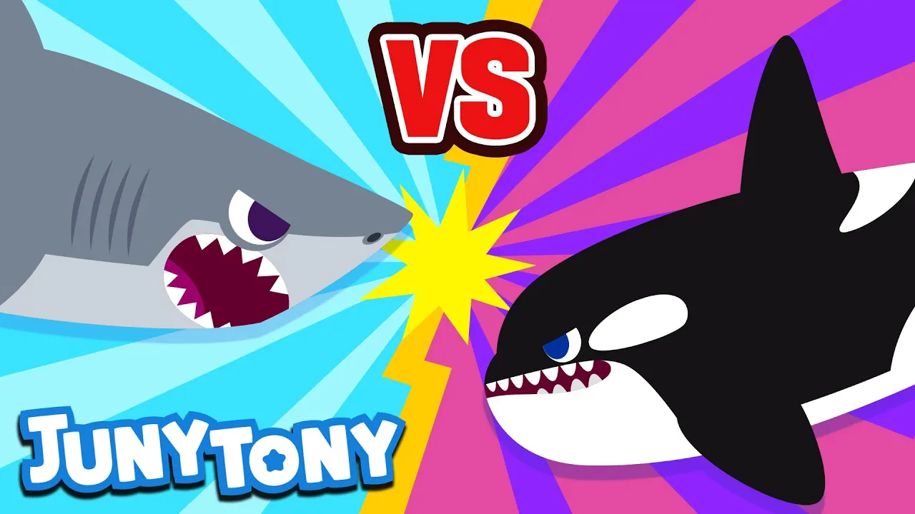 Great White Shark vs. Orca | Animal Songs for Kids | Sea Animals | Versus Song | JunyTony Great White Shark vs. Orca | Animal Songs for Kids | Sea Animals | Versus Song | JunyTony