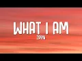 Download Lagu ZAYN - What I Am (Lyrics)