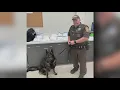Guadalupe County deputies say staggering amount of drugs being seized is only going up