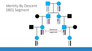 DNA Interest Group DNA Segments - Triangulate or Exasperate