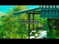 peace is liberty in tranquility - a relaxing music playlist