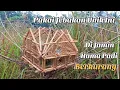 Download Lagu JEBAK BURUNG || Mikat Burung Emprit Untuk Mengurangi Hama Padi