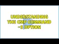 understanding the cmp command - s option
