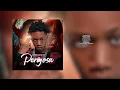 Perigosa  Ayres Zeneth ft Djasmim no Beat