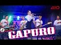 Download Lagu Alvi Ananta Ft. TNC7 - Gapuro | Koplo Version (Official Video)