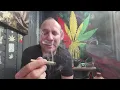cherry popperz by Ted s Budz total thc 35 03