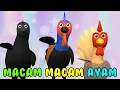 Download Lagu Macam Macam Ayam - Lagu Anak Indonesia Terbaru