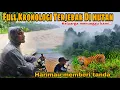 Lagu KRONOLOGI FULL 4 hari TERJEBAK Di Hutan Saat B4NJ1R  || Ketemu HARIMAU \u0026 Bertahan Hidup Demi Pulang