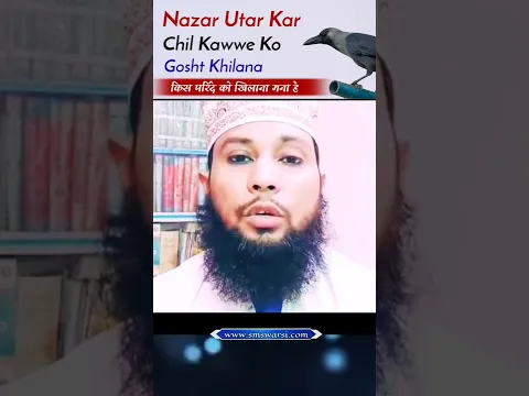 Cheel Kawwon Ko Gosht Khilana by Sikander Warsi #masaileshariat #sunni_channel