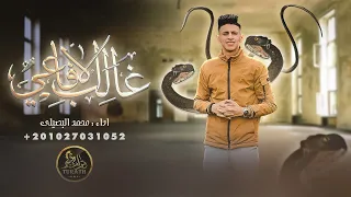 غالب الافاعي   محمد البصيلي   حصريا                                               دندنها
