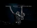 Freedom / Wizard / Lions In The Wild (Martin Garrix & Alesso UMF 2026  Mashup) [CLEAN]