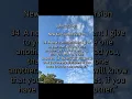 John 13 34-35 New King James Version