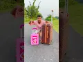 Toy suitcase vs big suitcase unboxing