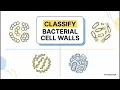 Classification of Prokaryotes Explained Taxonomy Bergey s Manual Species Strains and Domains