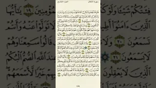 سورة الأنفال من الآية١٧ إلى الآية٢٥بصوت القارئ ماهر المعيقلي غزة تحت القصف فلسطين طوفان الاقصى 