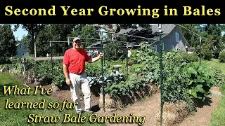 SECOND YEAR GROWING VEGETABLES IN STRAW BALES What I ve Learned So Far