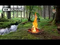Download Lagu 4K 📺 This is a Real Forest Campfire 🔥Soothing Sounds of Nature 🌲Ultra HD