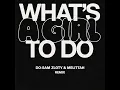 What’s A Girl To Do - SAM ZLOTY & MELITTAH REMIX