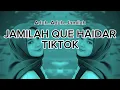 Download Lagu JAMILAH QUE HAIDAR TIKTOK LAGU VIRAL TIKTOK TERBARU