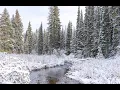 Heavy mountain snow gusty winds and pass travel impacts tonight Winter Storm Warnings